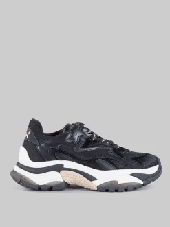 Sneaker addict