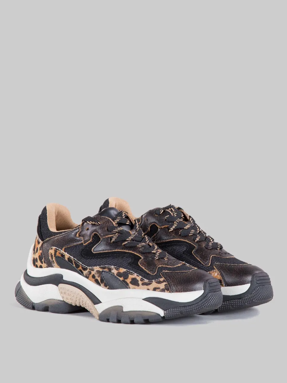 Sneaker addict