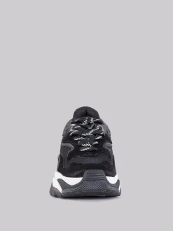 Sneaker addict