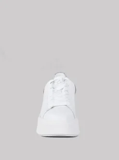 SNEAKERS ASH MOBY
