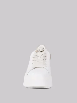 SNEAKERS ASH MOBY